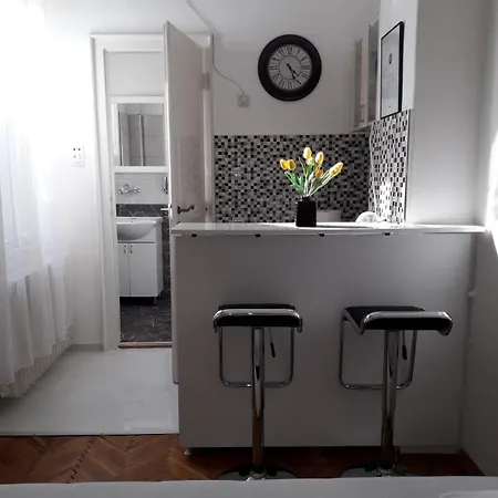 アパート Dunja Ns ノヴィ・サド