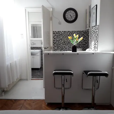 Dunja Ns * ノヴィ・サド