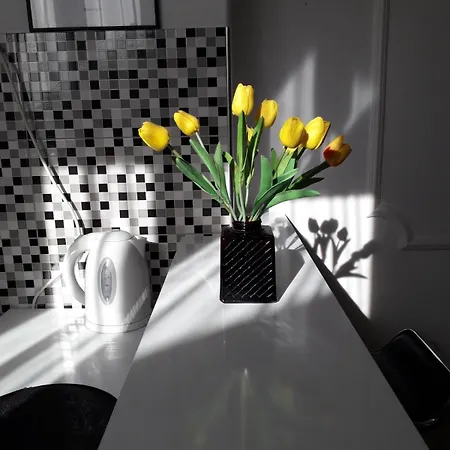 Dunja Ns * Нови-Сад