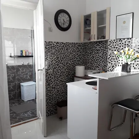 アパート Dunja Ns ノヴィ・サド